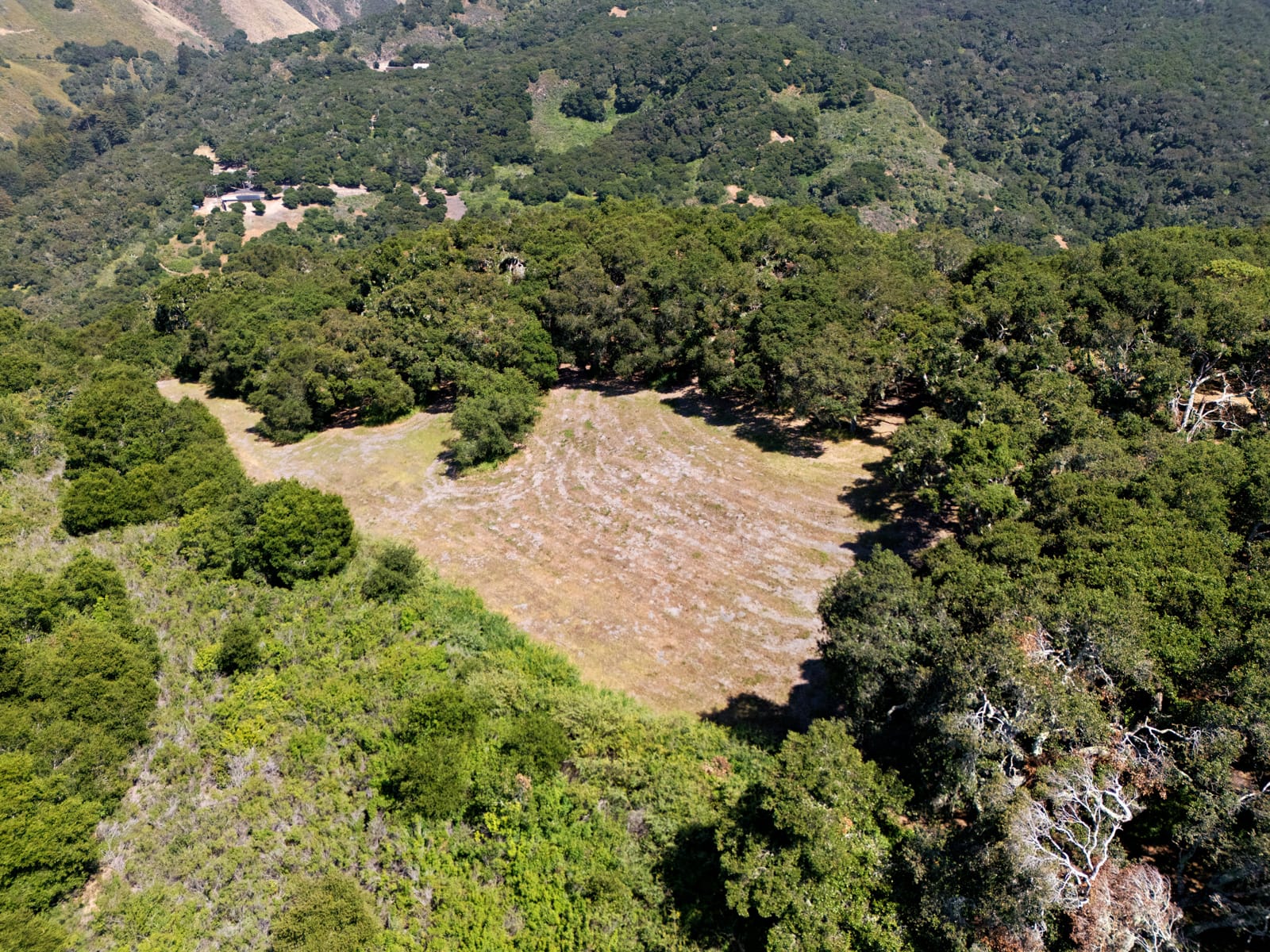 4 Holding Field Run - MLS7_DJI_20250527151751_0087 - © Compass Realty 2025