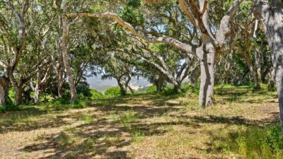 4 Holding Field Run - MLS8_A7200737 - © Compass Realty 2025