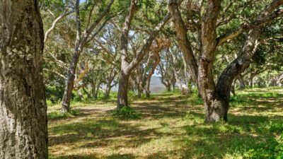 4 Holding Field Run - MLS9_A7200743 - © Compass Realty 2025