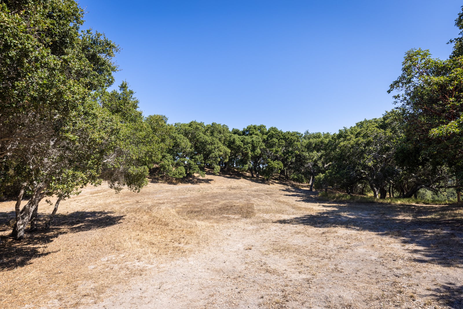 5-1-8 Corral Run- - Carmel Realty Company 2023