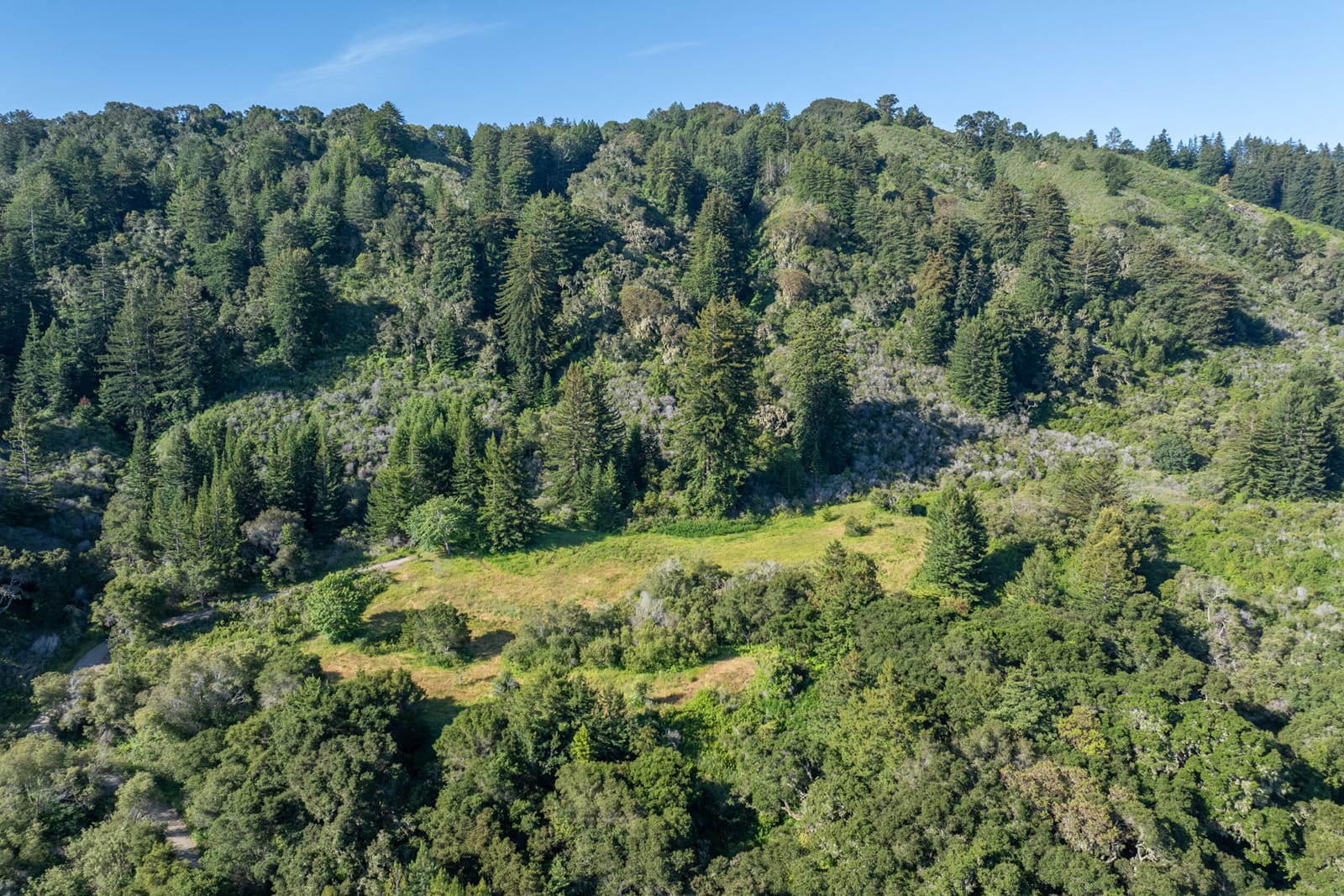 5-11-15-Potrero-Trail-LR - © Compass Realty 2025