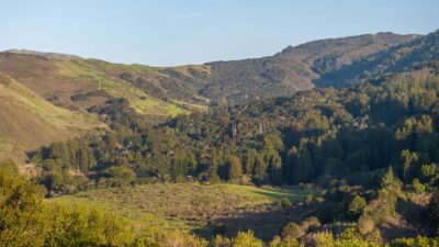 5-17-Rancho-San-Carlos-Rd-047-LR-Canning Properties Group 2025 downsized