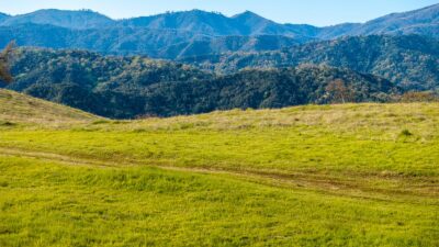 5 - 24_Vasquez_Trail_014 - © Canning Properties Group 2025
