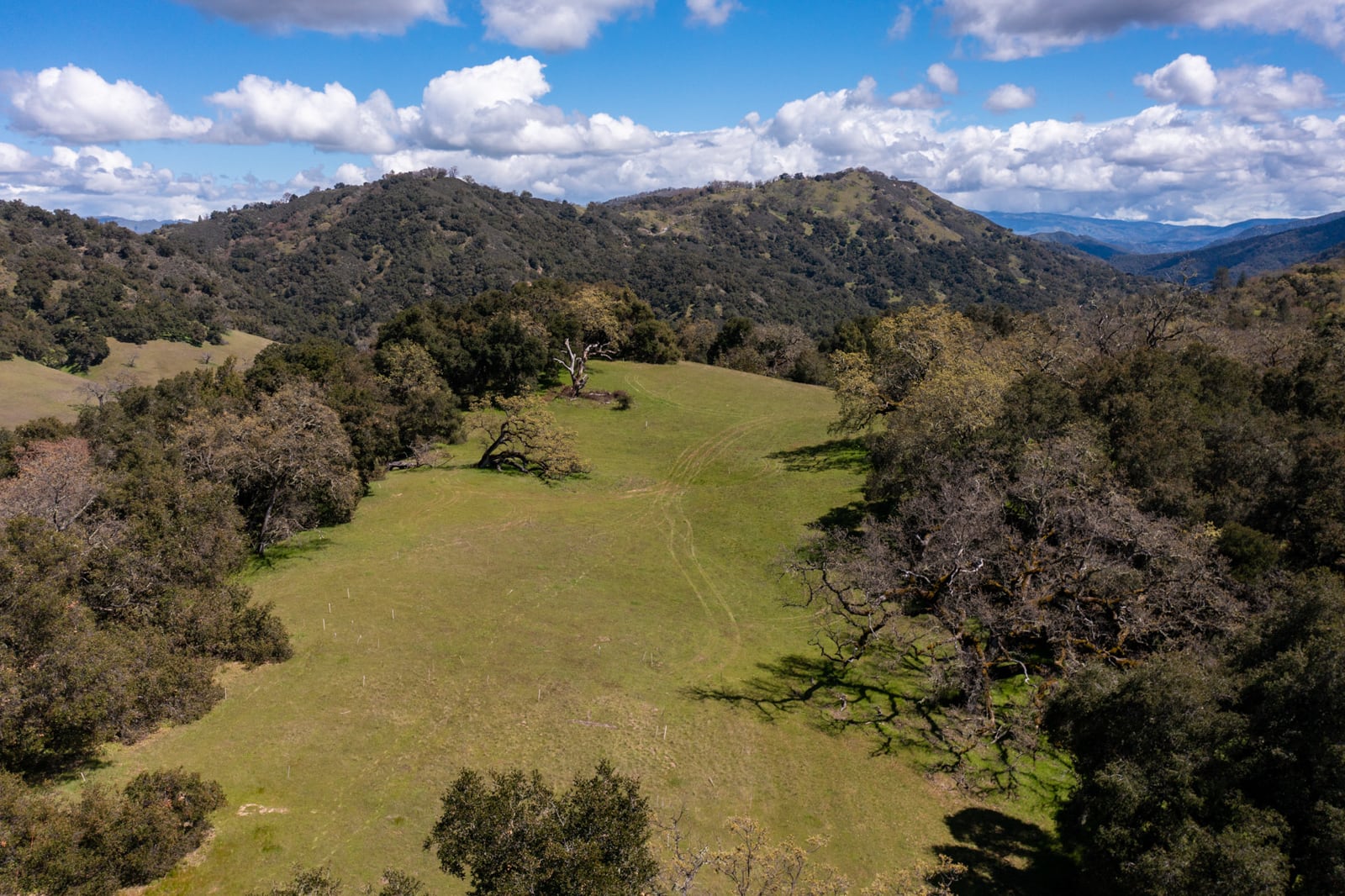 5 29 AS - 29 Arroyo Sequoia - © Carmel Realty Company 2025