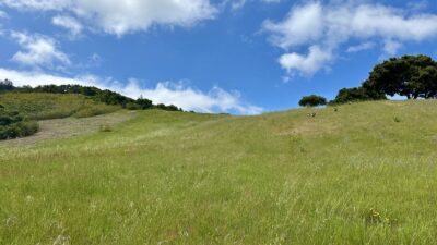 5 29 PT - 29 Potrero Trail - © Carmel Realty Company 2025