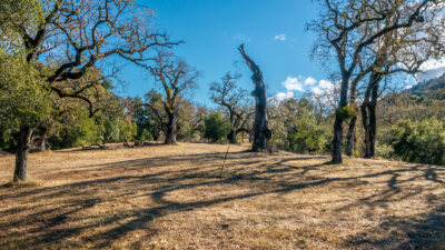 5 -37_Arroyo_Sequoia_57