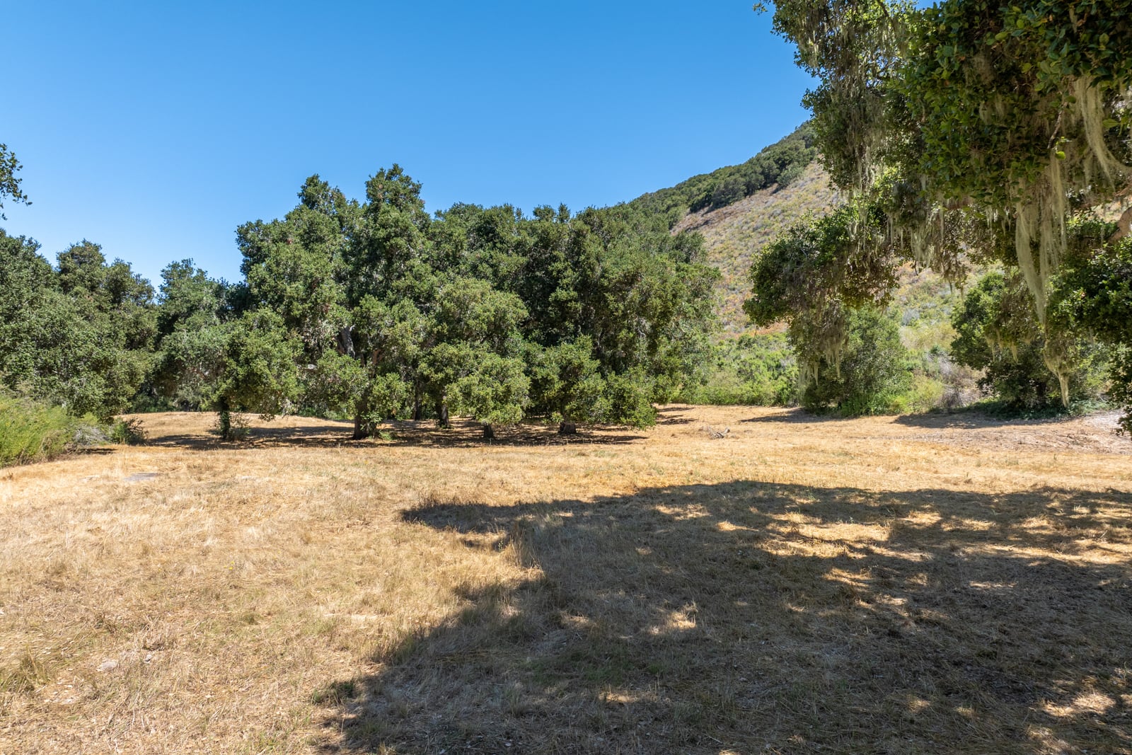 5 - 4_Goodrich_Trail_009 - © Canning Properties Group 2025