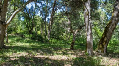 5 - 9 Garzas Trail-5