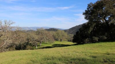 5 Black Mountain Trail - IMG_0779 - © Bambace Peterson 2025