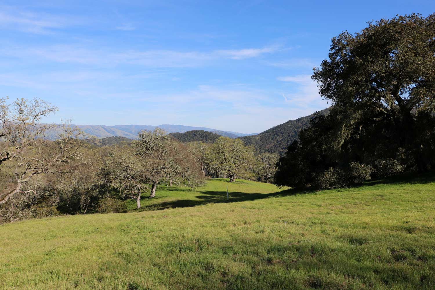 5 Black Mountain Trail - IMG_0779 - © Bambace Peterson 2025