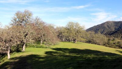 5 Black Mountain Trail - IMG_0781 - © Bambace Peterson 2025