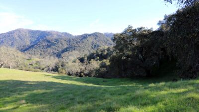 5 Black Mountain Trail - IMG_0782 - © Bambace Peterson 2025