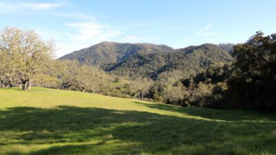 5 Black Mountain Trail - IMG_0783 - © Bambace Peterson 2025