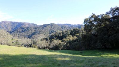 5 Black Mountain Trail - IMG_0784 - © Bambace Peterson 2025