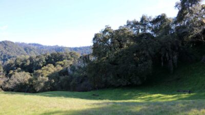 5 Black Mountain Trail - IMG_0788 - © Bambace Peterson 2025