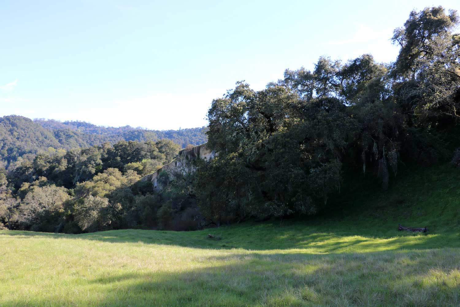 5 Black Mountain Trail - IMG_0788 - © Bambace Peterson 2025