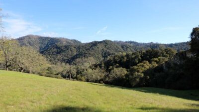 5 Black Mountain Trail - IMG_0789 - © Bambace Peterson 2025