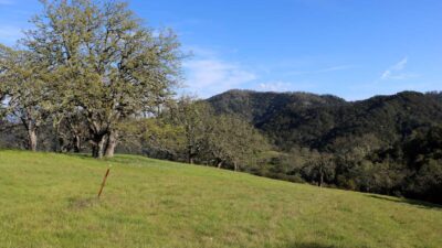 5 Black Mountain Trail - IMG_0790 - © Bambace Peterson 2025