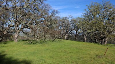 5 Black Mountain Trail - IMG_0791 - © Bambace Peterson 2025