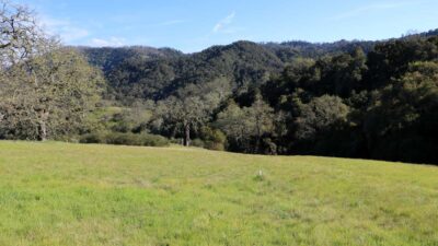5 Black Mountain Trail - IMG_0792 - © Bambace Peterson 2025