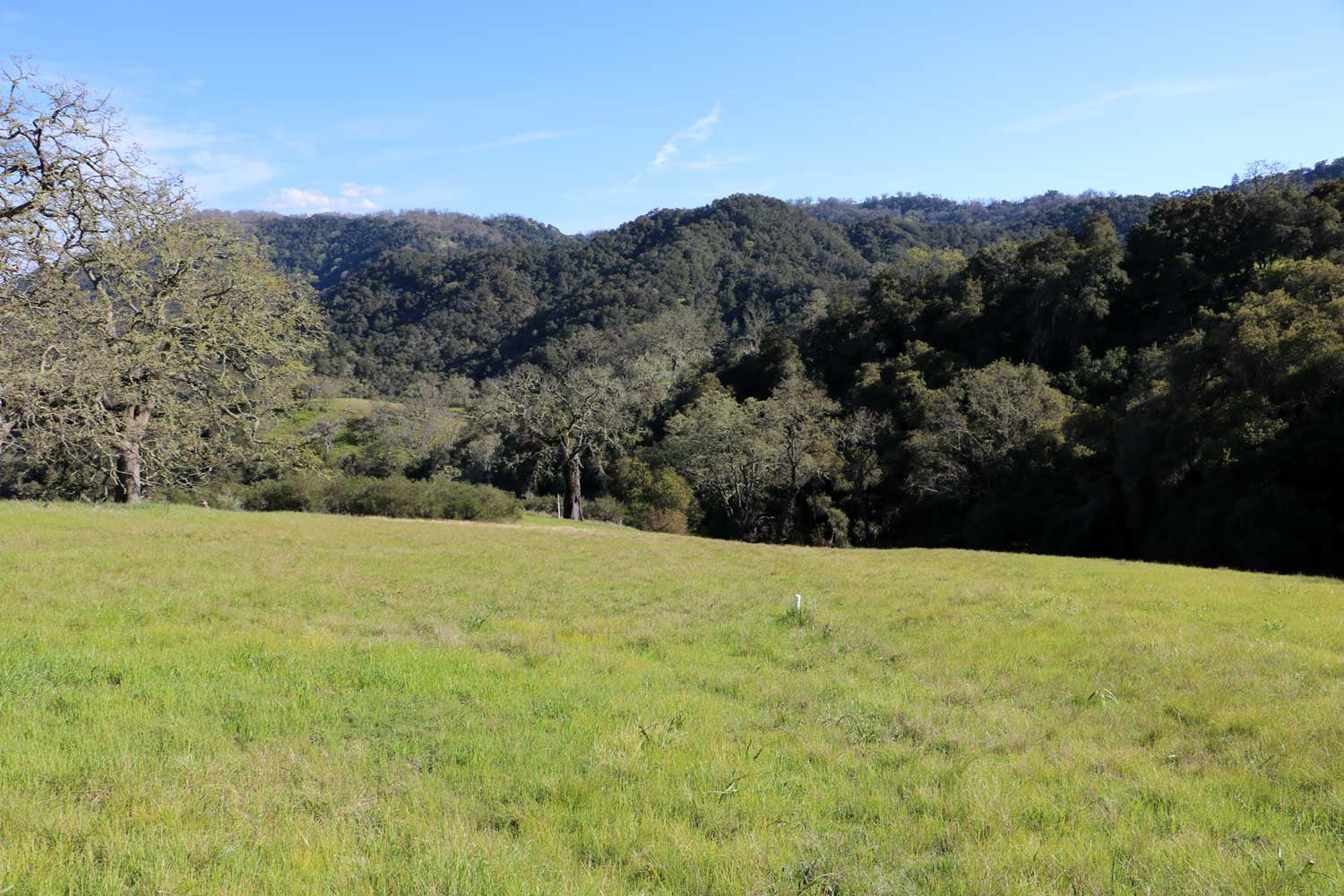 5 Black Mountain Trail - IMG_0792 - © Bambace Peterson 2025