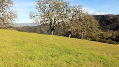 5 Black Mountain Trail - IMG_0793 - © Bambace Peterson 2025