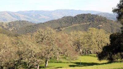5 Black Mountain Trail - IMG_0803 - © Bambace Peterson 2025