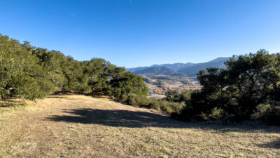Lot 136 52 Chamisal 2022