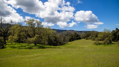 6 29 AS - 29 Arroyo Sequoia - © Carmel Realty Company 2025