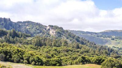 6 29 PT rocks - 29 Potrero Trail - © Carmel Realty Company 2025