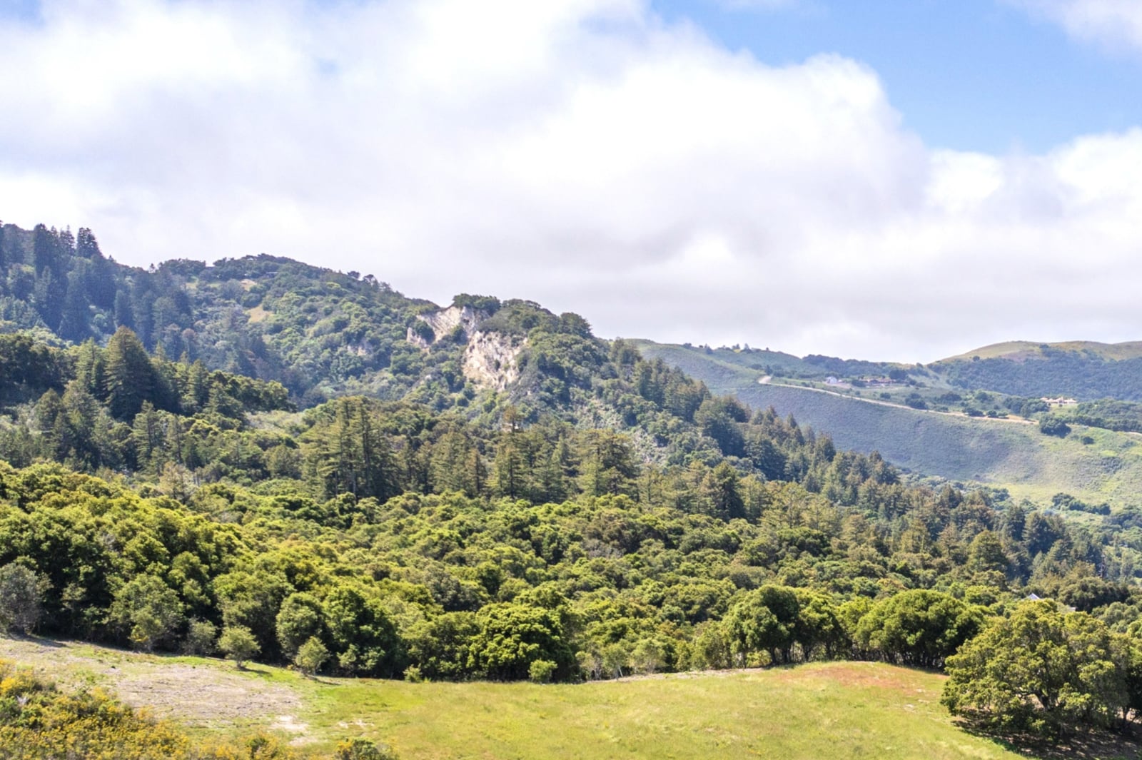 6 29 PT rocks - 29 Potrero Trail - © Carmel Realty Company 2025