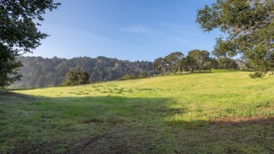 6-37-17-Rancho-San-Carlos-Rd-LR-Canning Properties Group 2025 downsized