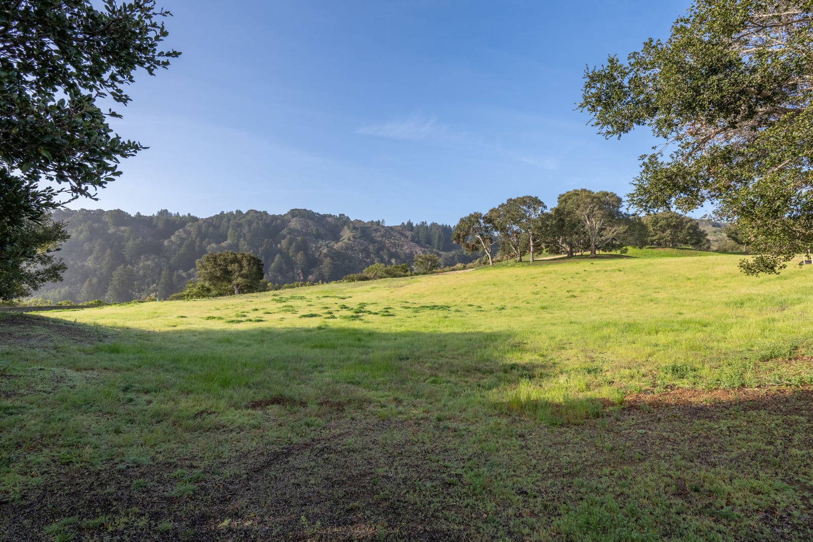 6-37-17-Rancho-San-Carlos-Rd-LR-Canning Properties Group 2025 downsized