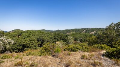 6-4-8 Corral Run- - Carmel Realty Company 2023