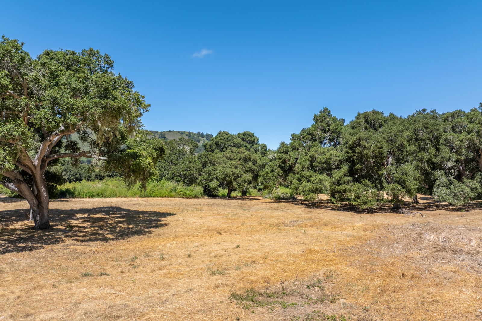 6 - 4_Goodrich_Trail_021 - © Canning Properties Group 2025