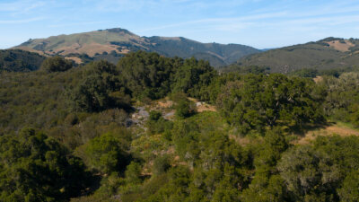 6 - 8 7_Vasquez_Trail_03 - © Canning Properties Group 2023