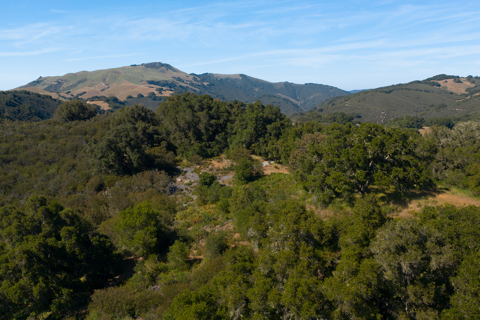 6 - 8 7_Vasquez_Trail_03 - © Canning Properties Group 2023