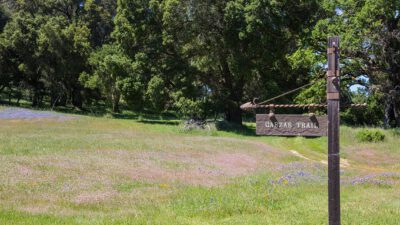 6 - 9 Garzas Trail-6