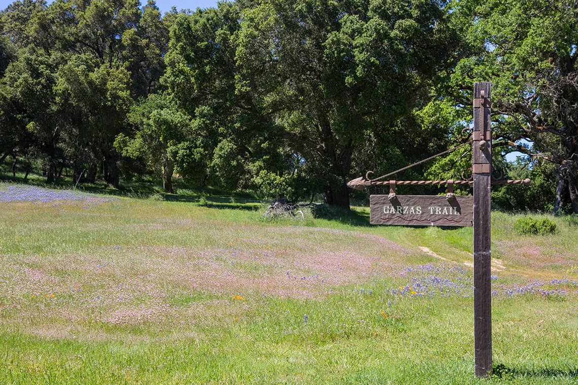 6 - 9 Garzas Trail-6