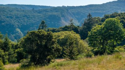 7-16-15-Potrero-Trail-LR - © Compass Realty 2025