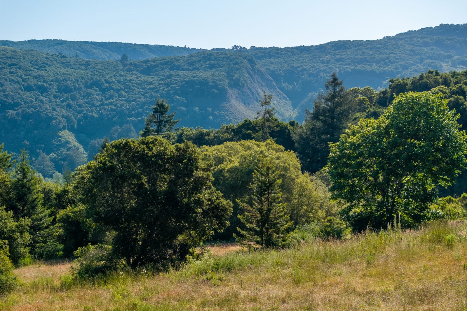 7-16-15-Potrero-Trail-LR - © Compass Realty 2025