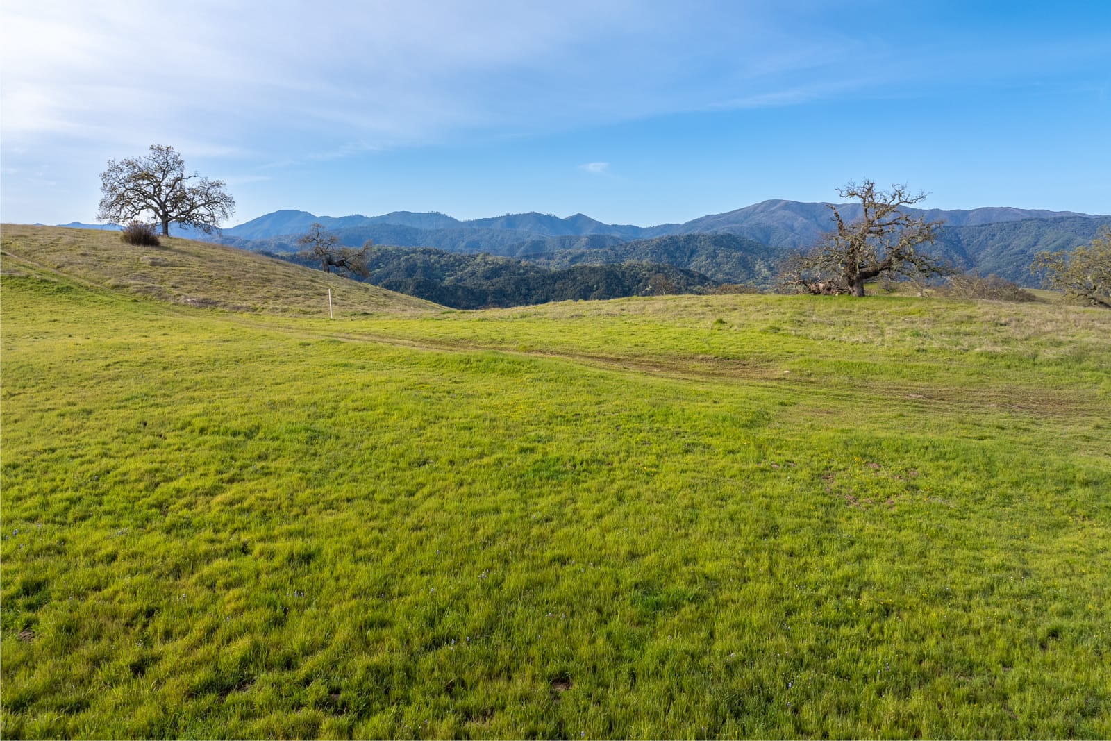7 - 24_Vasquez_Trail_013 - © Canning Properties Group 2025