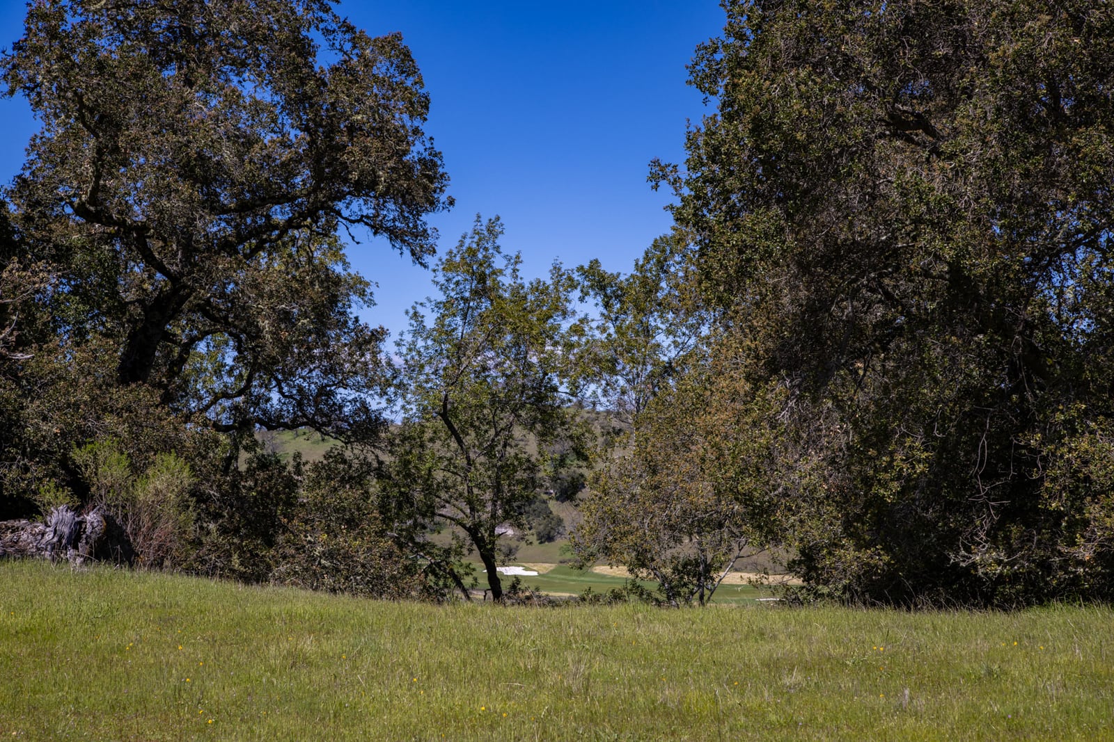7 29 AS - 29 Arroyo Sequoia - © Carmel Realty Company 2025