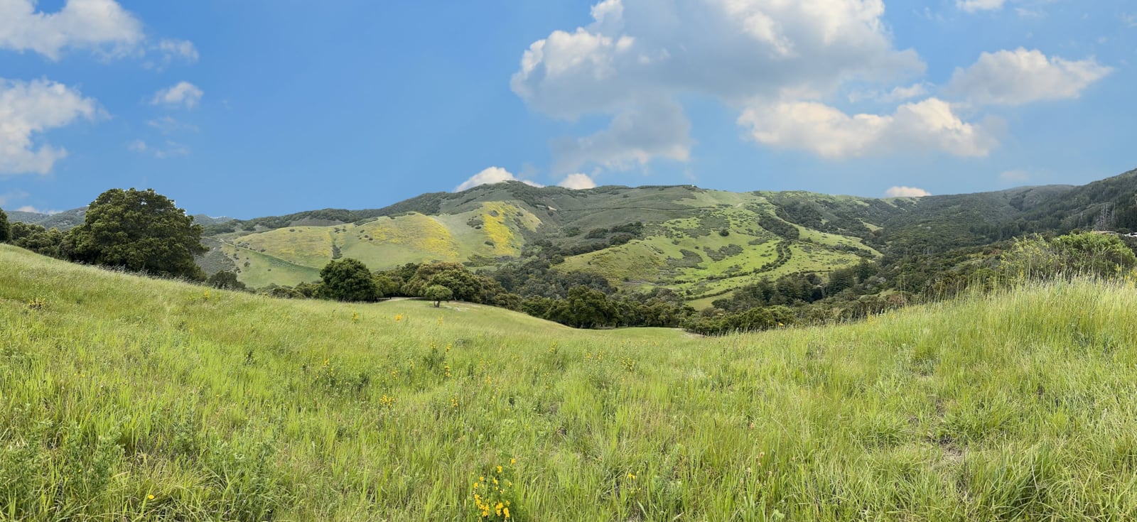 7 29 PT pano may not work for mktg