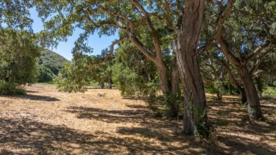7 - 4_Goodrich_Trail_015 - © Canning Properties Group 2025