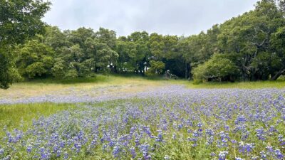 7 8 Corral Run - © Carmel Realty Company 2025