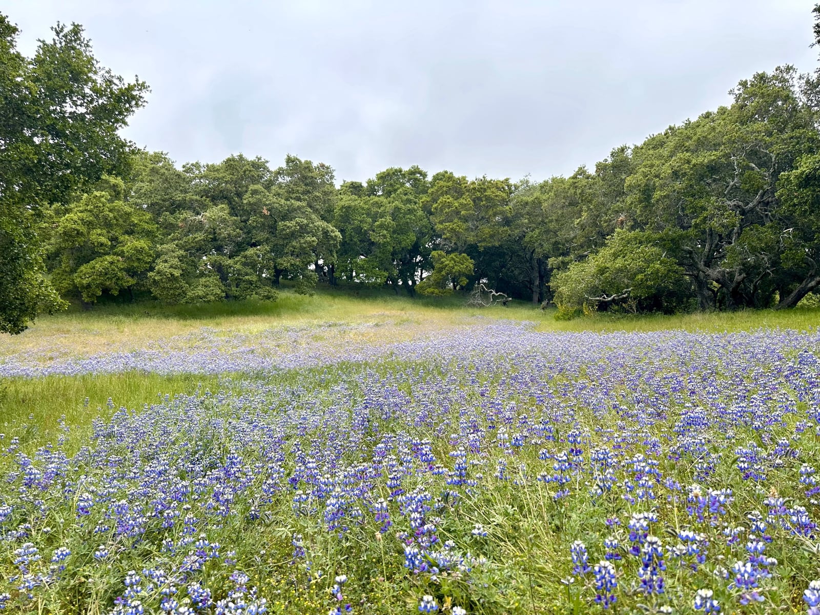 7 8 Corral Run - © Carmel Realty Company 2025