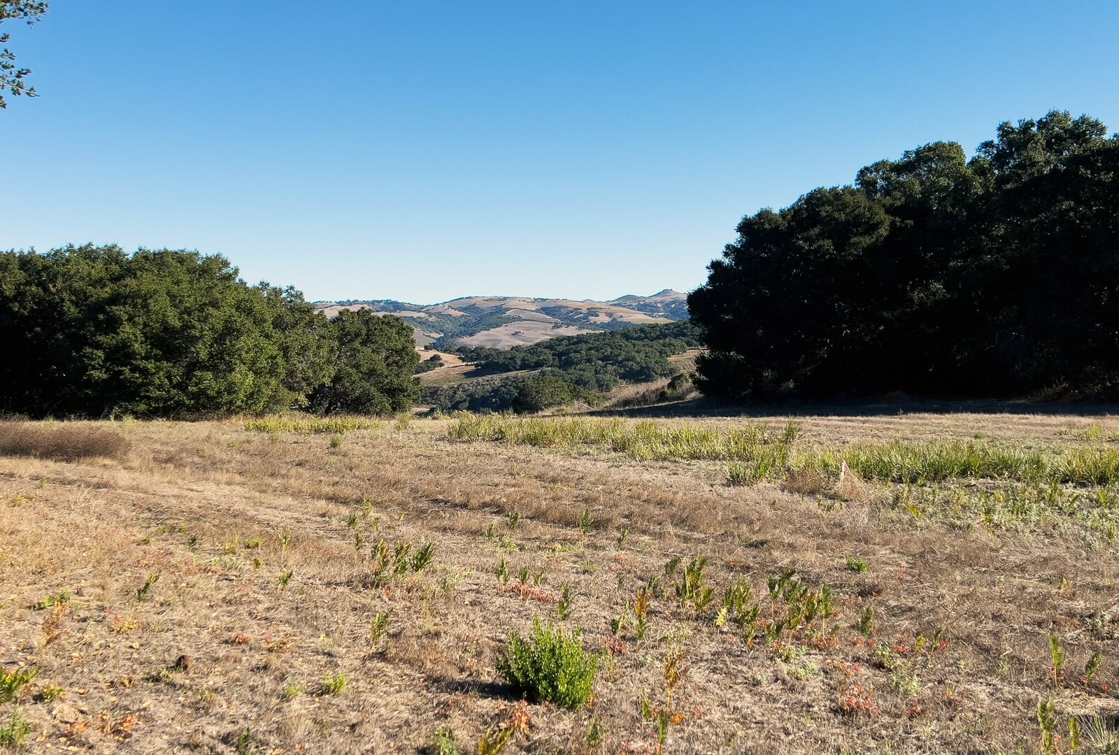 7 Holding Field Hero - 7 Holding Field Run - La Tierra Realty 2023