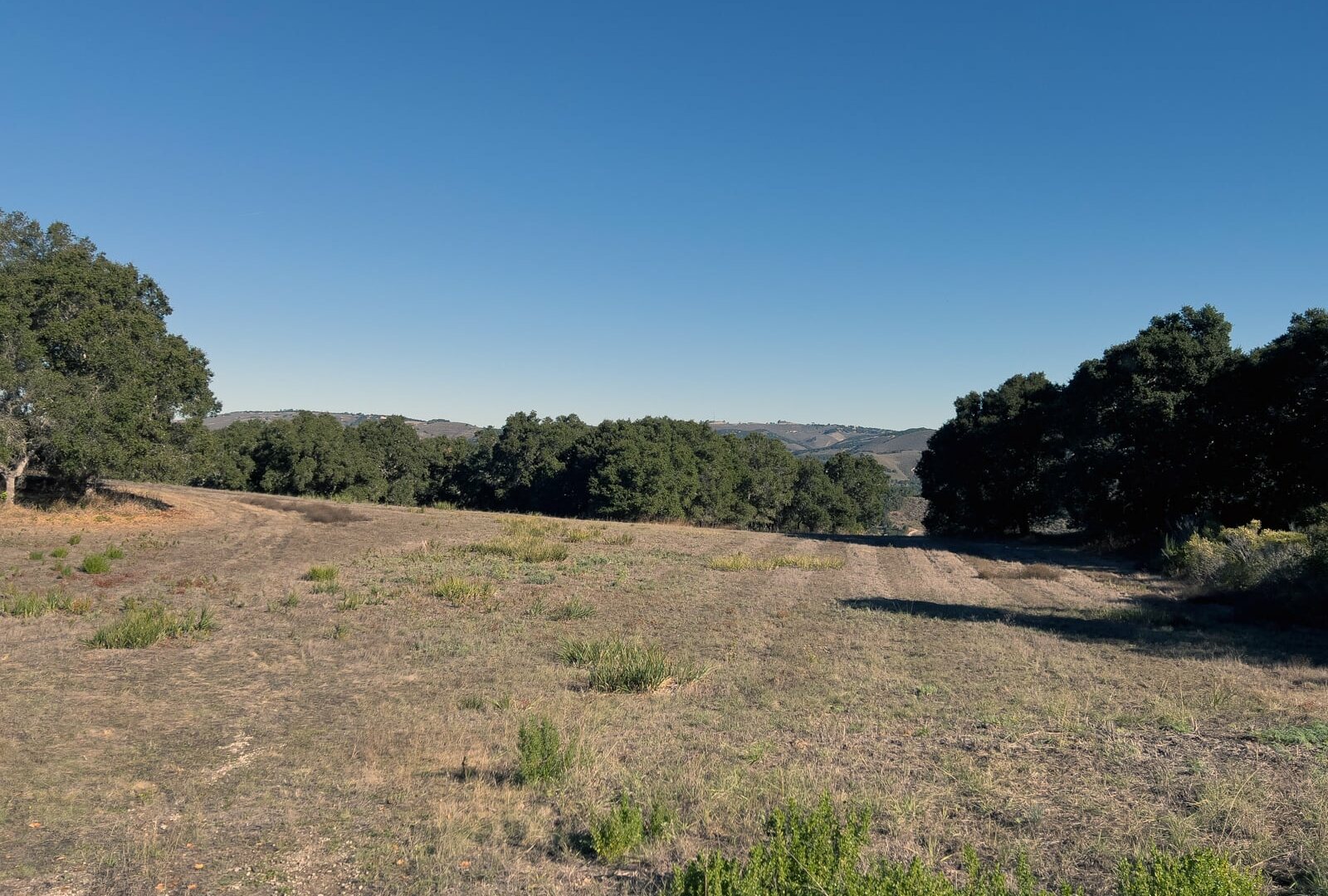 7HF_02_5297 - 7 Holding Field Run - La Tierra Realty 2023