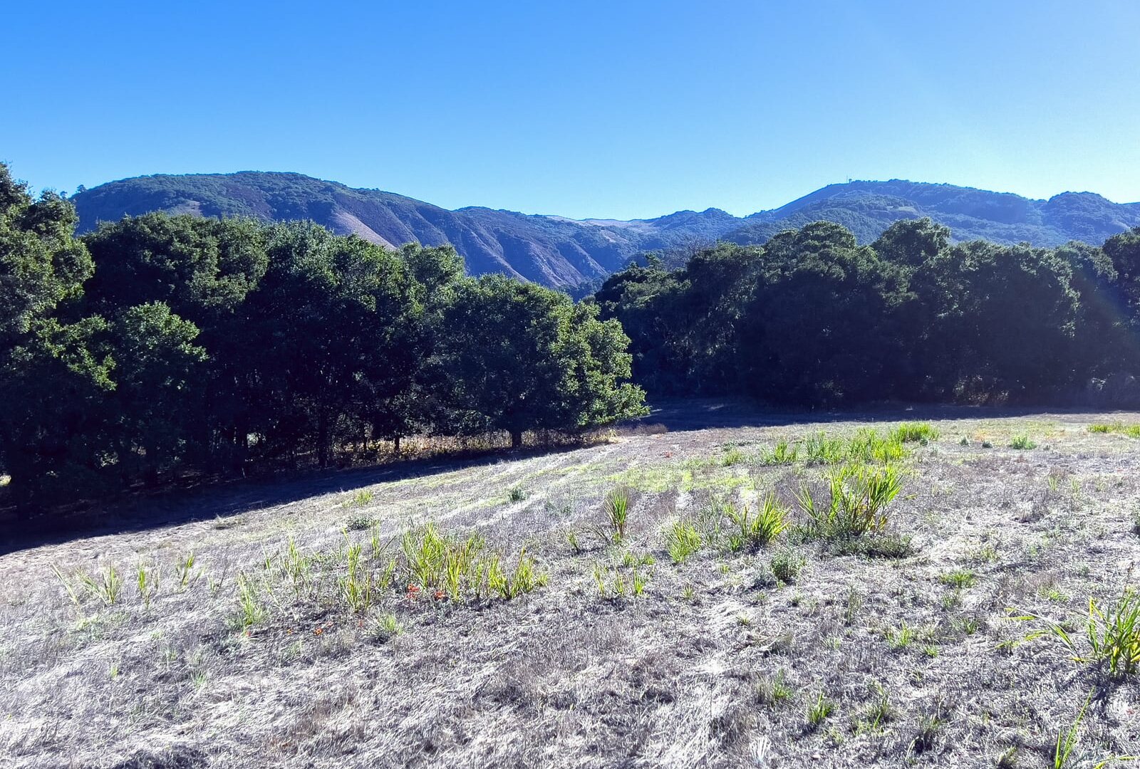7HF_05_5304 - 7 Holding Field Run - La Tierra Realty 2023